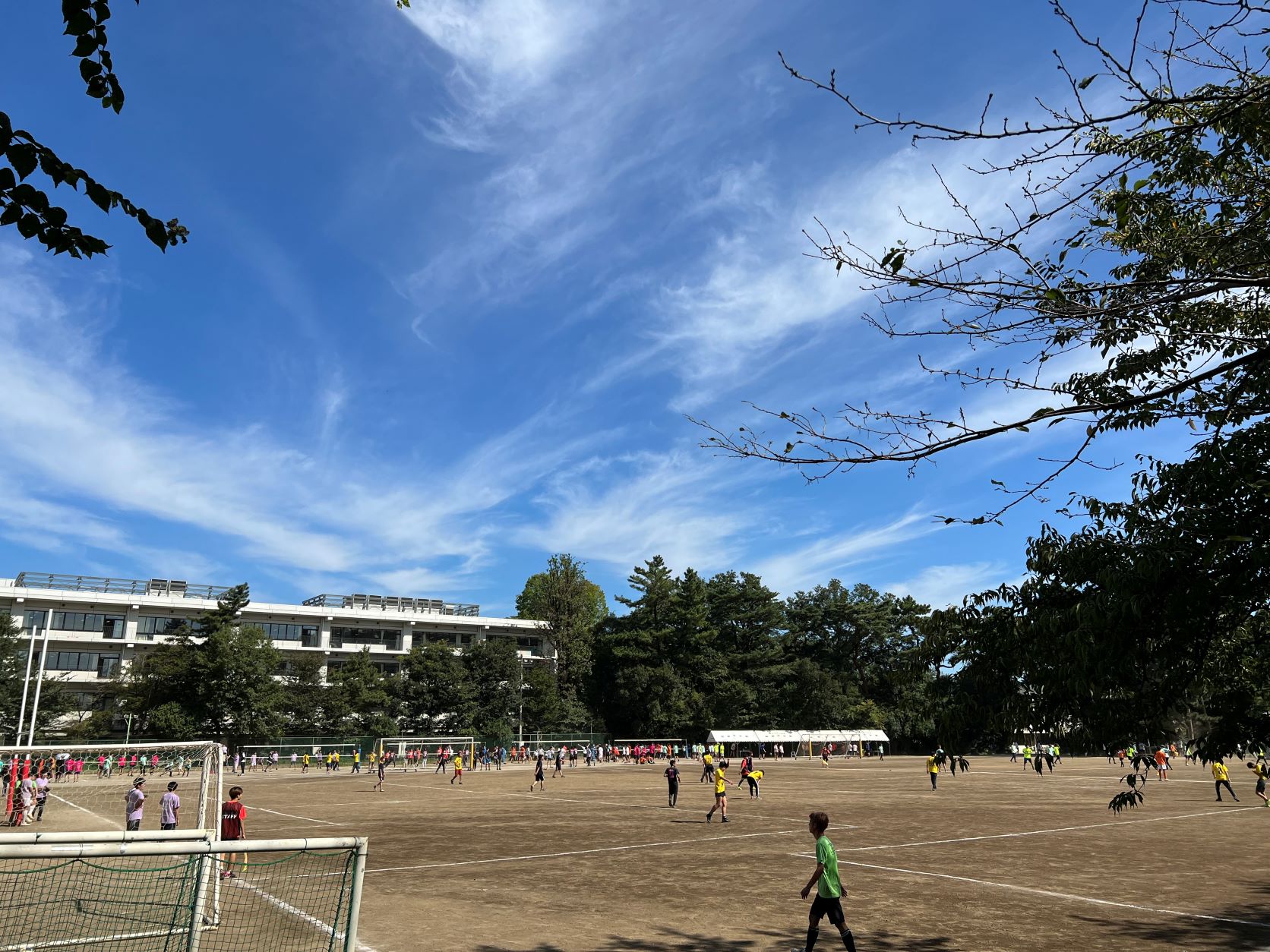 秋季高校スポーツ大会