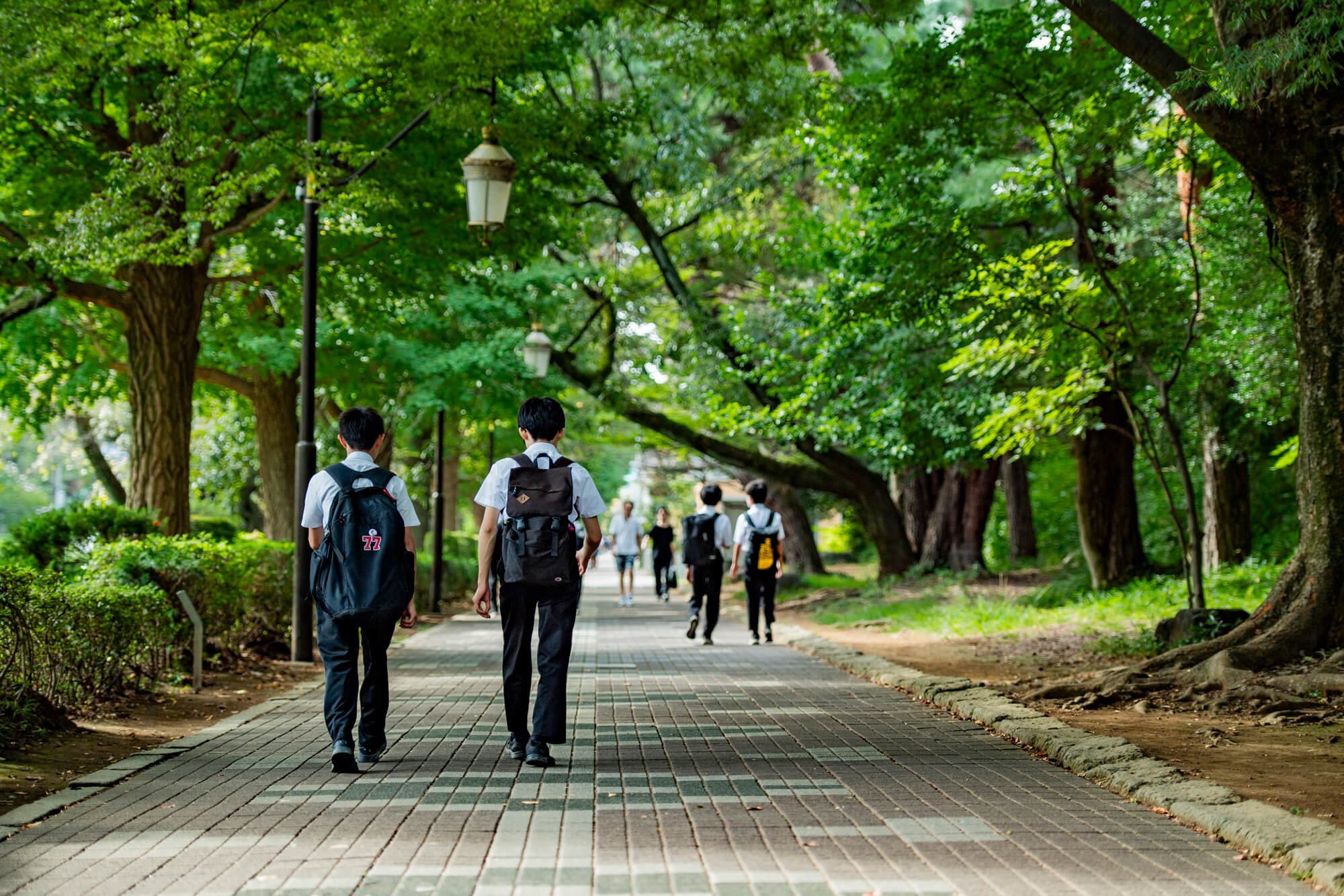 中学入試要項・結果