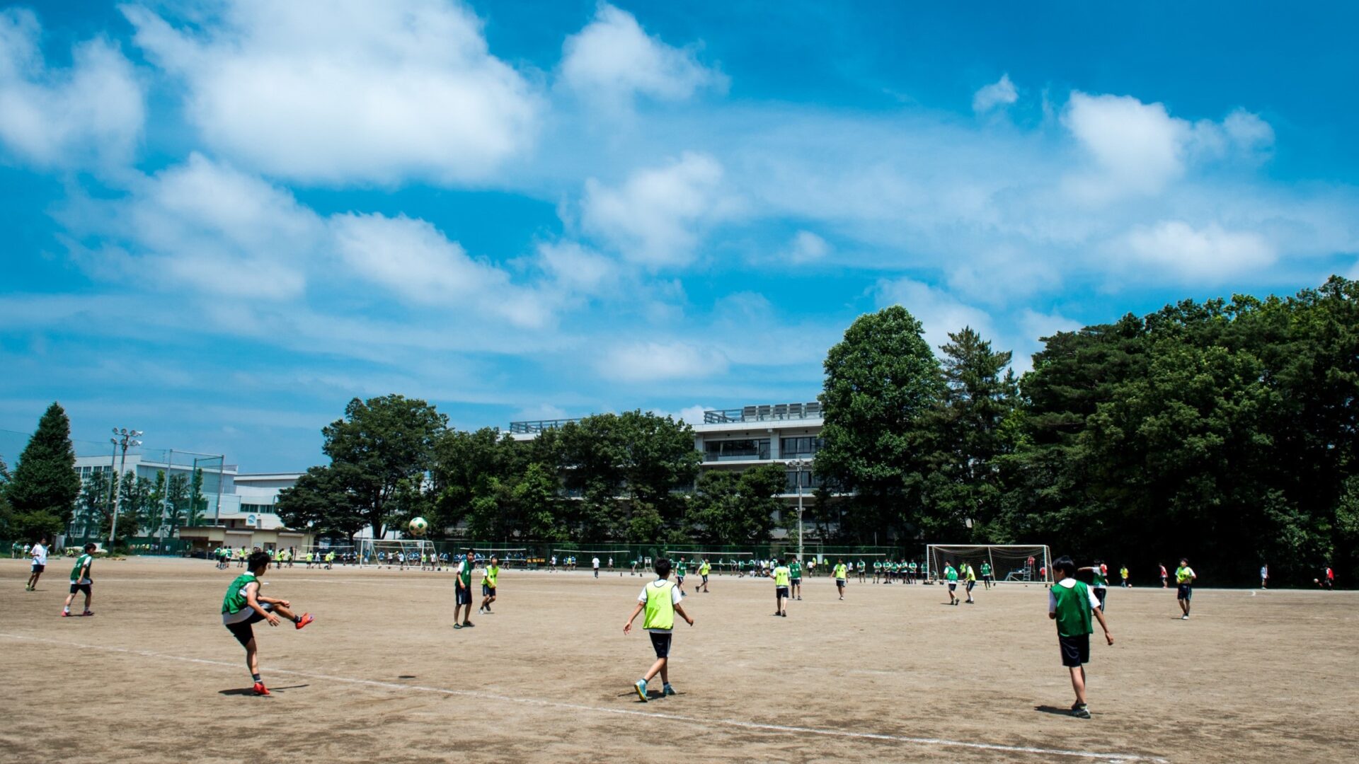 学校基本情報