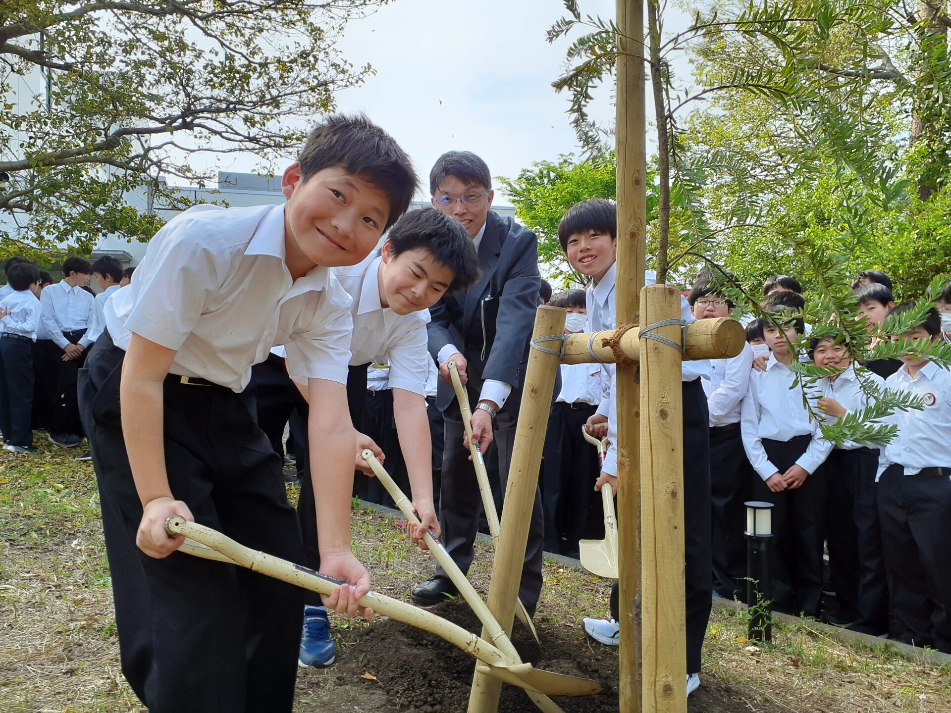 84期 新中１ 入学記念植樹を行いました。