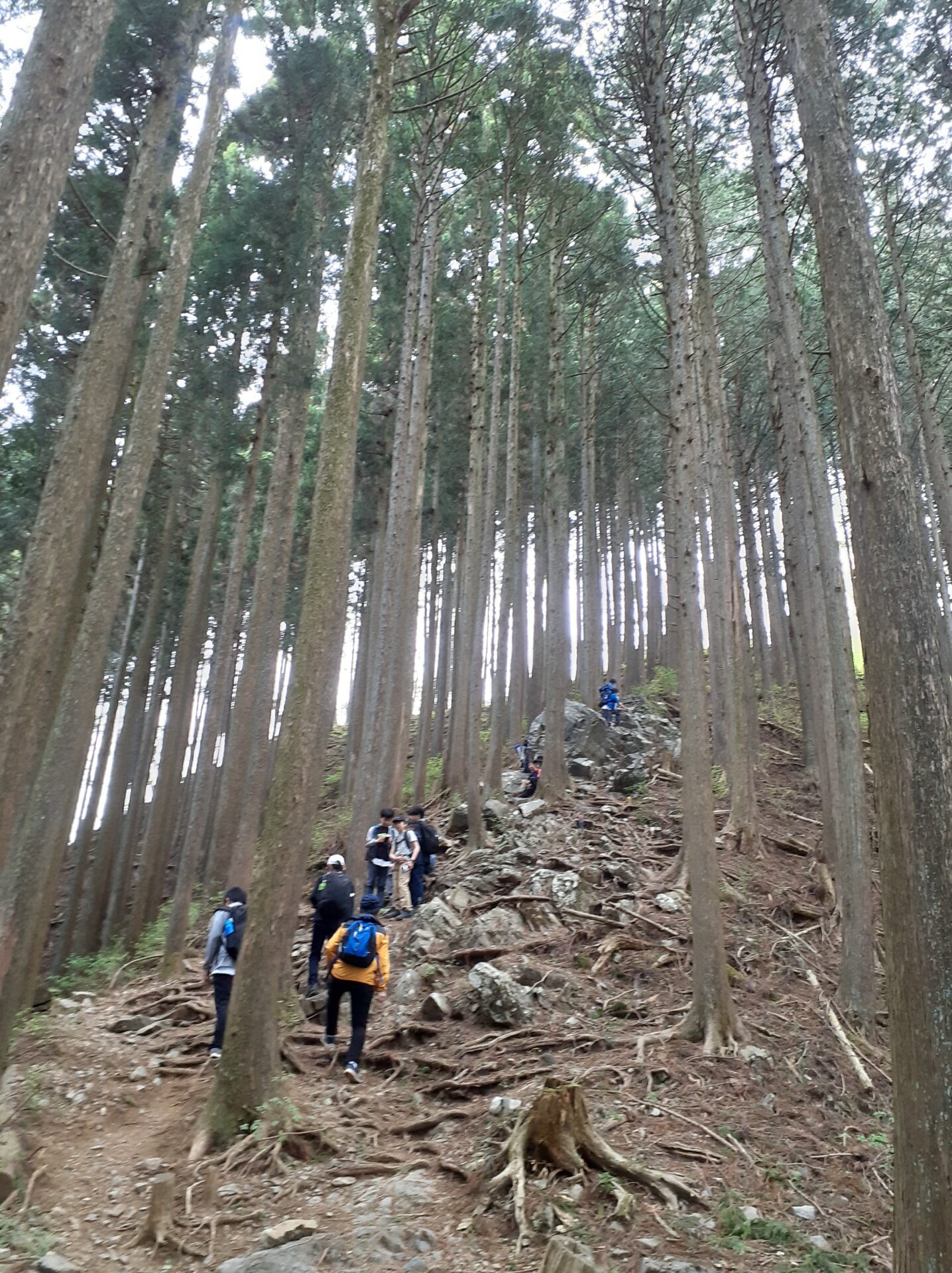 岩茸石山手前の急な斜面